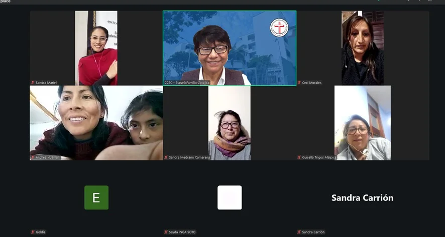 Segunda Reunión Virtual de los Consorcios Regionales